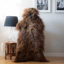 xxl Sheepskin Rug, Icelandic Sheepskin - thumbnail 2