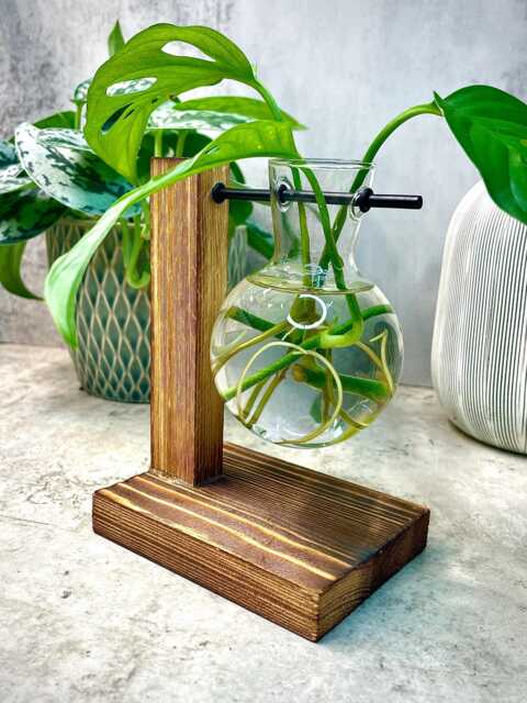 Spare Glass Vase Only For Houseplant Propagation Station - image 1