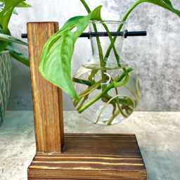 Spare Glass Vase Only For Houseplant Propagation Station - thumbnail 2
