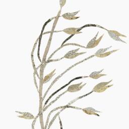 Oat Plant Illustration, Subtle Floral Housewarming Gift, Minimalist Home Decor For Nature Lovers, Bakery Wall - thumbnail 3