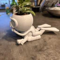 "Scuba Diver Succulent Planter Customised Airplant Holder ""Wee Jimmy Dinna Droon" - thumbnail 3