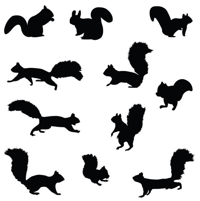 Squirrel Chipmunk Wall Decal Nursery Sticker Set Forest Animals For Tree Birch Woods #1250 - image 1