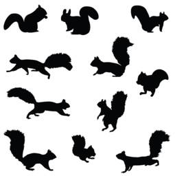 Squirrel Chipmunk Wall Decal Nursery Sticker Set Forest Animals For Tree Birch Woods #1250