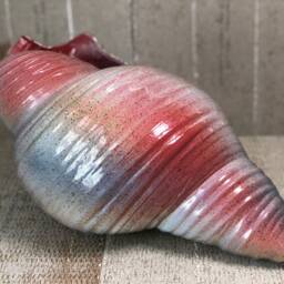 Giant Pottery Seashell - thumbnail 3