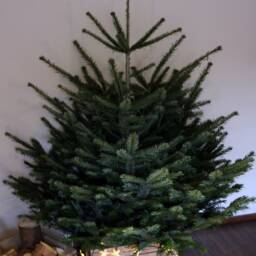 Vintage Christmas Tree Stand Christmas Tree Stand Made Of Wood Old Rustic Fruit Box Decoration Wooden Box Holder Gift - thumbnail 3