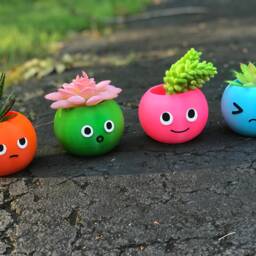 Family Pack Puff Planter - x4, Christmas Gift Smiley Face, Surprised, Coworker Gift, Birthday Annoyed, Sad Face, Emoji - thumbnail 2