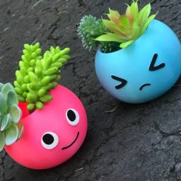 Family Pack Puff Planter - x4, Christmas Gift Smiley Face, Surprised, Coworker Gift, Birthday Annoyed, Sad Face, Emoji - thumbnail 3