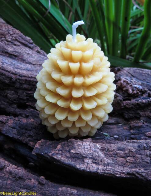 Pinecone Beeswax Candles Bulk/100% All Natural Pine Cone Design Forest Trees Wedding Event Country - image 1