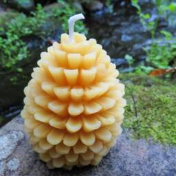 Pinecone Beeswax Candles Bulk/100% All Natural Pine Cone Design Forest Trees Wedding Event Country - thumbnail 2