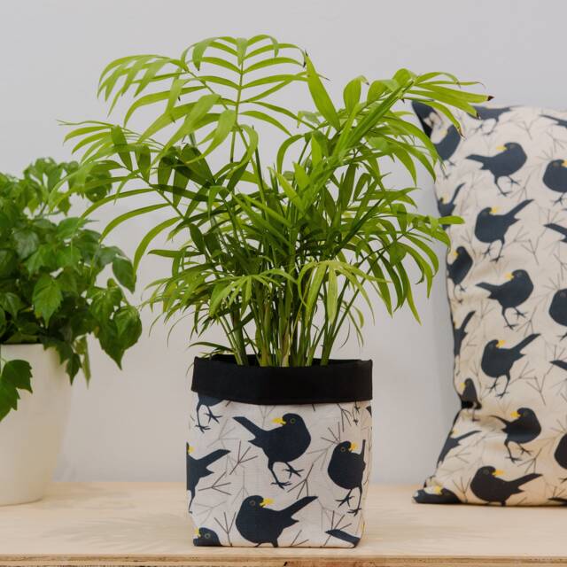 Blackbird Print Fabric Plant Pot - Waterproof Textile Basket - image 1