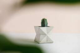 Geometric Concrete Planter Handmade Modern Home Decor