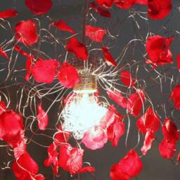 "Kit ""Chandelier Rose Petals" - thumbnail 3