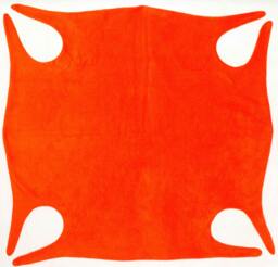 Multi-Use Baby Blanket