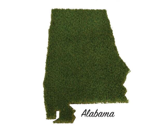 Alabama Synthetic Grass Doormat - Rug Wall Decor - image 1