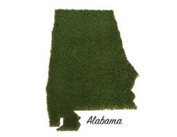 Alabama Synthetic Grass Doormat - Rug Wall Decor - thumbnail 1