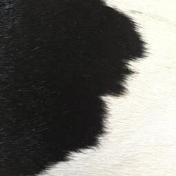 Cowhide Rug - Extra-Large, Black & White, Nguni Cow Hide African Skin Rug With Large Bold Spots That Would Look Great in Any Room - thumbnail 3