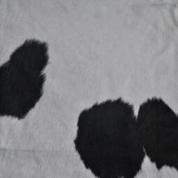 Cowhide Rug - Extra-Large, Black & White, Nguni Cow Hide African Skin Rug With Large Bold Spots That Would Look Great in Any Room - thumbnail 2
