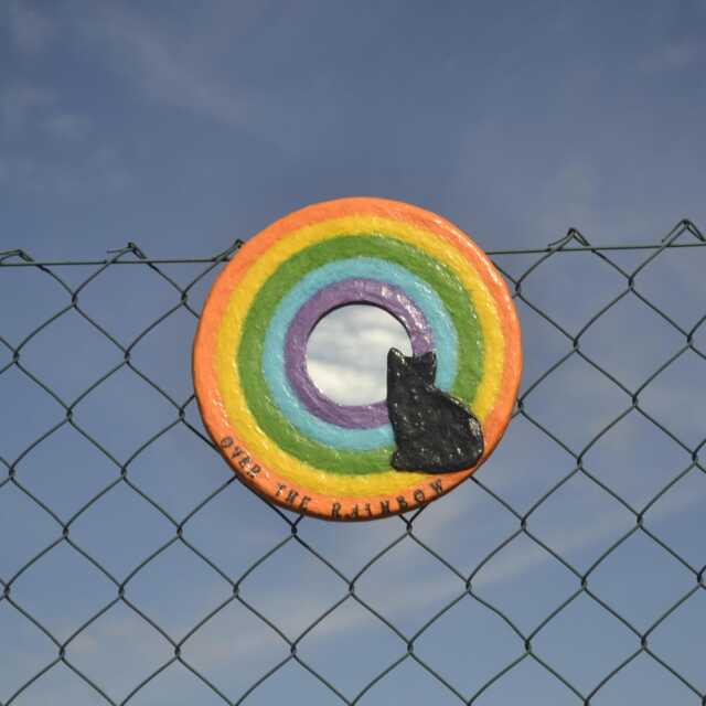 Black Cat Rainbow Wall Mirror, Paper Mache Pet Loss Gift - image 1