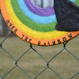 Black Cat Rainbow Wall Mirror, Paper Mache Pet Loss Gift - thumbnail 2