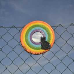 Black Cat Rainbow Wall Mirror, Paper Mache Pet Loss Gift