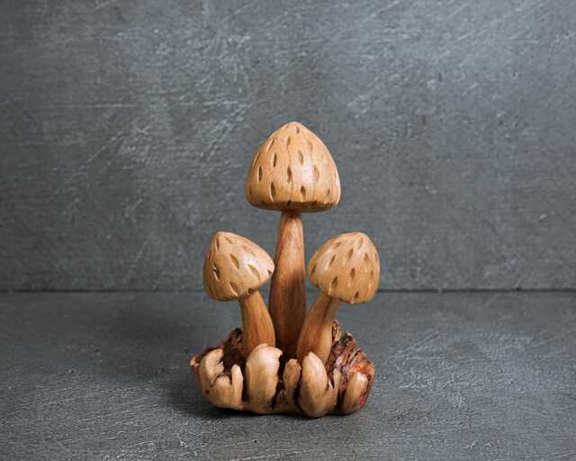 Handmade Wooden Mushroom Statue Parasite Wood Art 5.5 - image 1