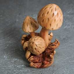 Handmade Wooden Mushroom Statue Parasite Wood Art 5.5 - thumbnail 4