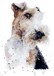 Wire Fox Terrier Print 17x12cm - White Rustic Frame - Playful Breed Wall Art, Gift For Lovers - thumbnail 2