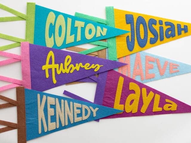 Personalized Name Pennant Flag Custom Felt Banner Nursery Decor Baby Shower Gift Kids Room Wall - image 1