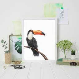 Tropical Toucan Art - Wildlife Gallery Wall Print - thumbnail 1