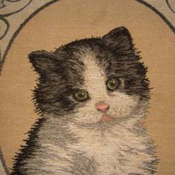 Framed Black & White Kitten Tapestry Cushion Cover Sham - thumbnail 2