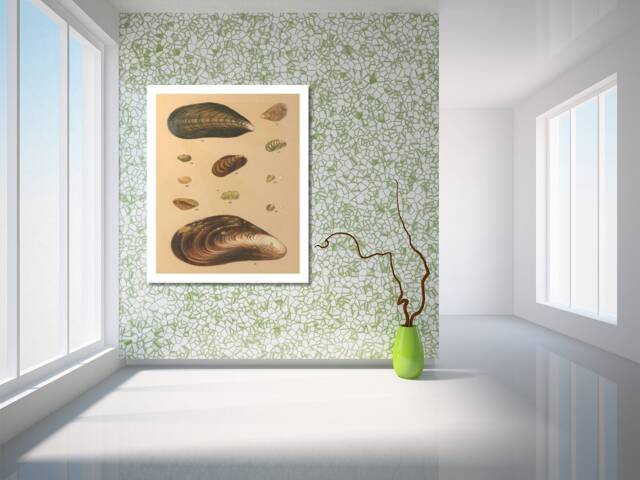 Sea Shell Art Print Nautical Beach Decor - Canvas, Matte, Or Photo Paper - image 1