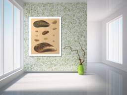 Sea Shell Art Print Nautical Beach Decor - Canvas, Matte, Or Photo Paper - thumbnail 1