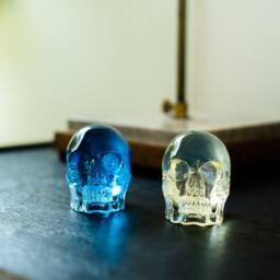 Hand Made Resin Skull Sculpture, Art, Homeware - thumbnail 4