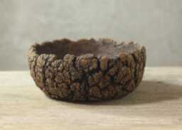 Natural & Rustic Style Stoneware Pot For Succulents, Cacti, Caudex Plants. Size 16 cm - Width 7 - Height - thumbnail 1