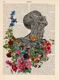 Anatomy Print, Medical Wall Decor, Upcycled Page, Book Print, Vintage Illustration - Rebirth Retro Poster, Book Print 103 - thumbnail 3