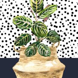 House Plant Print Wall Art, Print, Modern Botanical Pink Art Blush Pink Dalmatian - thumbnail 2