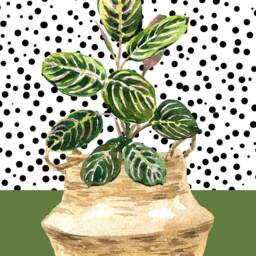 House Plant Print Wall Art, Print, Modern Botanical Pink Art Blush Pink Dalmatian - thumbnail 3