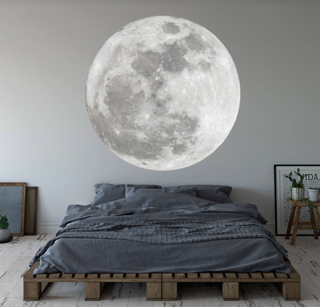 Moon Wall Art Decal Nursery Bedroom Vinyl Decor
