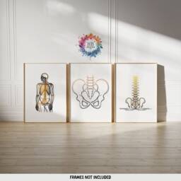 Chiropractic Print Set - 3 Line Art Posters - Chiropractor Office Decor Anatomy Wall Chiro Clinic Artwork Medical Room Prints - thumbnail 2