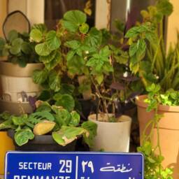Gemmayze Vintage Street Sign - Aluminium Road Gemayzeh Lebanese Souvenir Gift Wall Mount Lebanon Signs Beirut - thumbnail 2