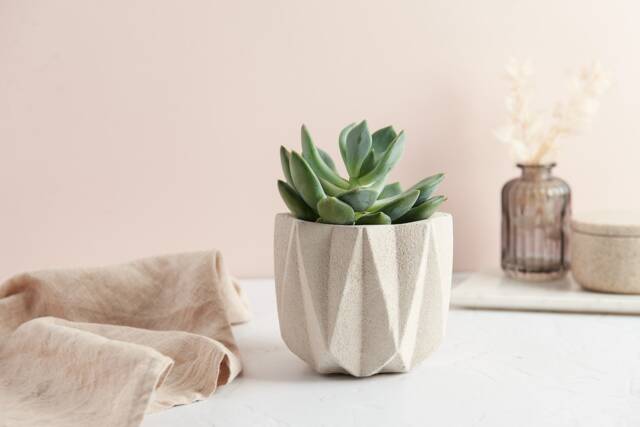 Textured Star Concrete Planter Modern Home Decor - image 1