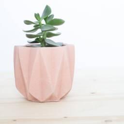Textured Star Concrete Planter Modern Home Decor - thumbnail 2
