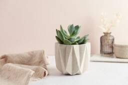 Textured Star Concrete Planter Modern Home Decor - thumbnail 1