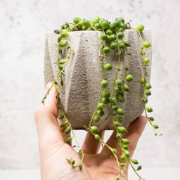Textured Star Concrete Planter Modern Home Decor - thumbnail 3