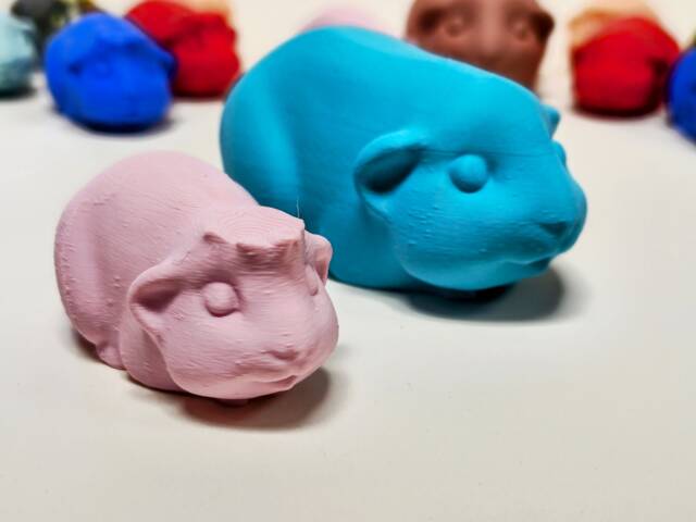 Guinea Pig Figurine - Custom Colour Display Model With Breed Options - image 1