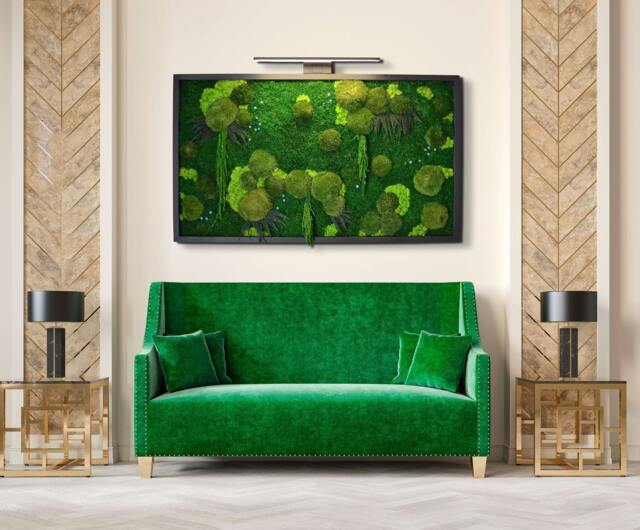 Terra X Moss Art + Led Lamp - Preserved Moss Art, , Maintenance-Free Plant Decoration, Wall Decoration - image 1