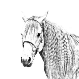 Azteca Horse - Wooden Stand For Candles/Pens With The Image Of A Horse New Collection - thumbnail 2