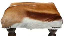 African Springbok Hide Ottoman, Handcrafted Footstool - thumbnail 3