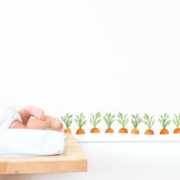 Carrots Peel-And-stick Wall Decals Mej - thumbnail 2