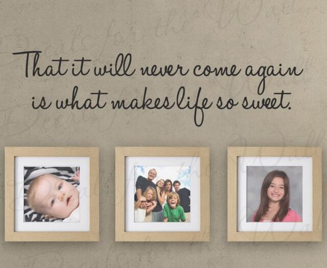 That It Will Never Come Again Is What Makes Life Sweet Home Family Love Picture Frames Wall Quote Sticker Vinyl Decal Art Decor Saying A60 - image 1